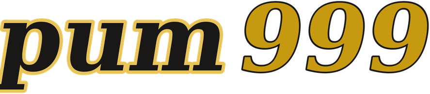 pum999 logo